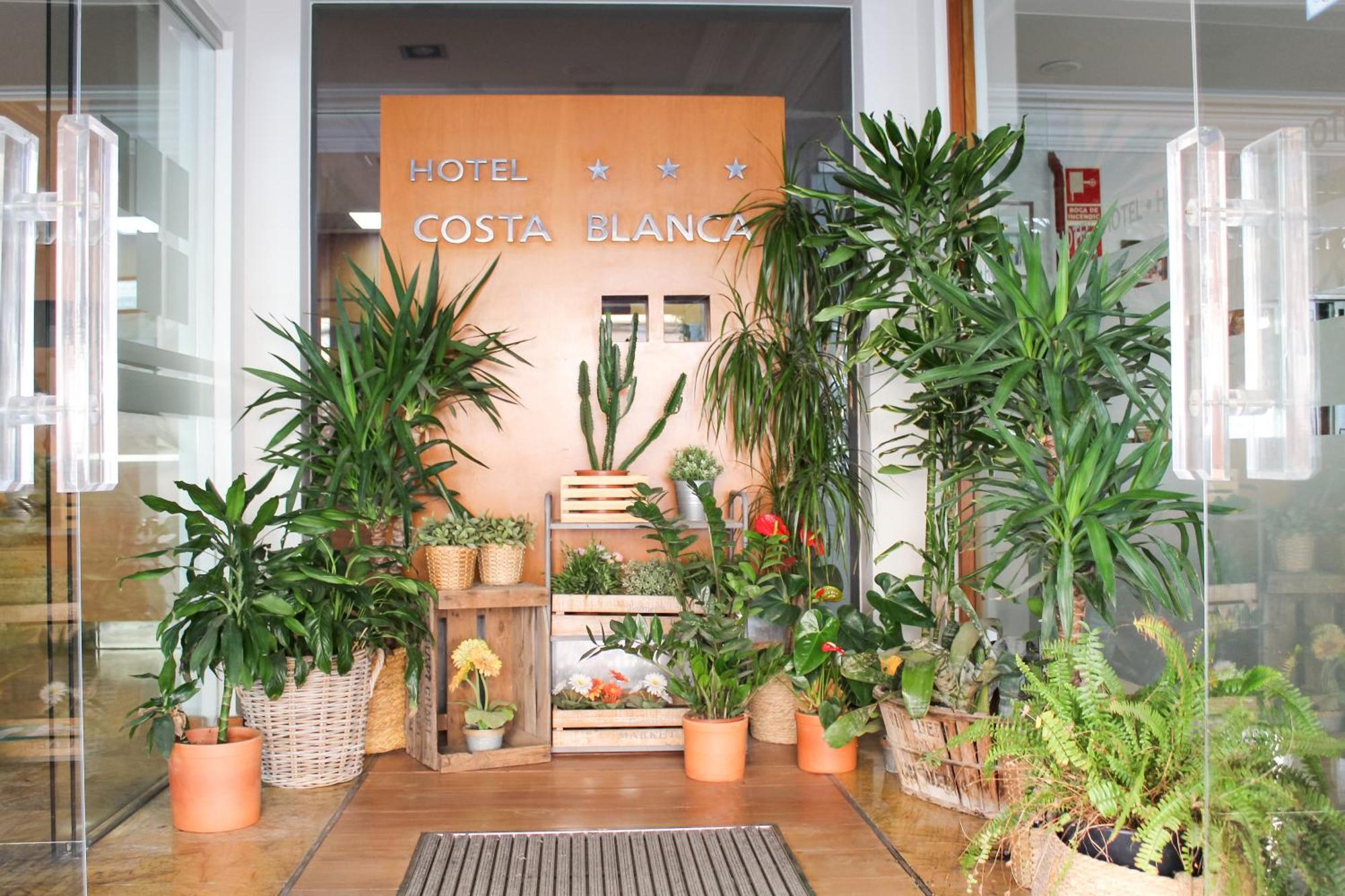 דניה Hotel Mr Costa Blanca מראה חיצוני תמונה